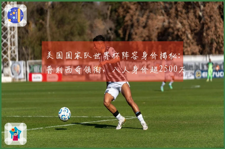 美国国家队世界杯阵容身价揭秘：普利西奇领衔，八人身价超2500万欧